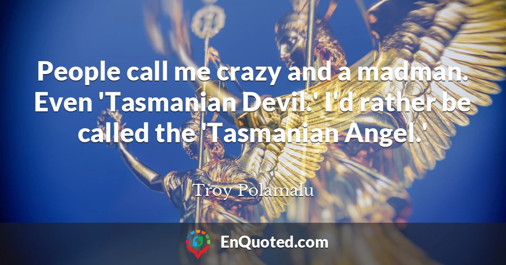 People call me crazy and a madman. Even 'Tasmanian Devil.' I'd rather be called the 'Tasmanian Angel.'