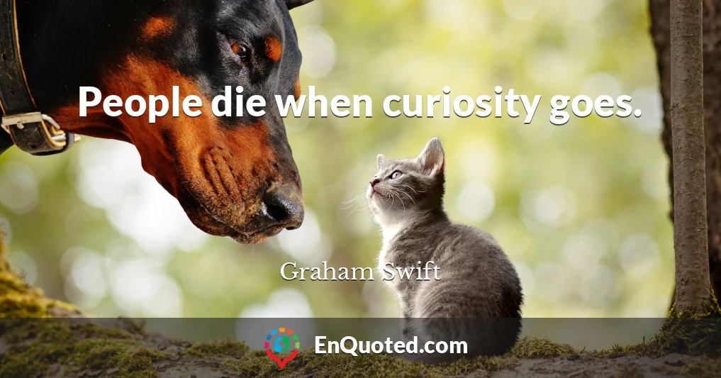 People die when curiosity goes.