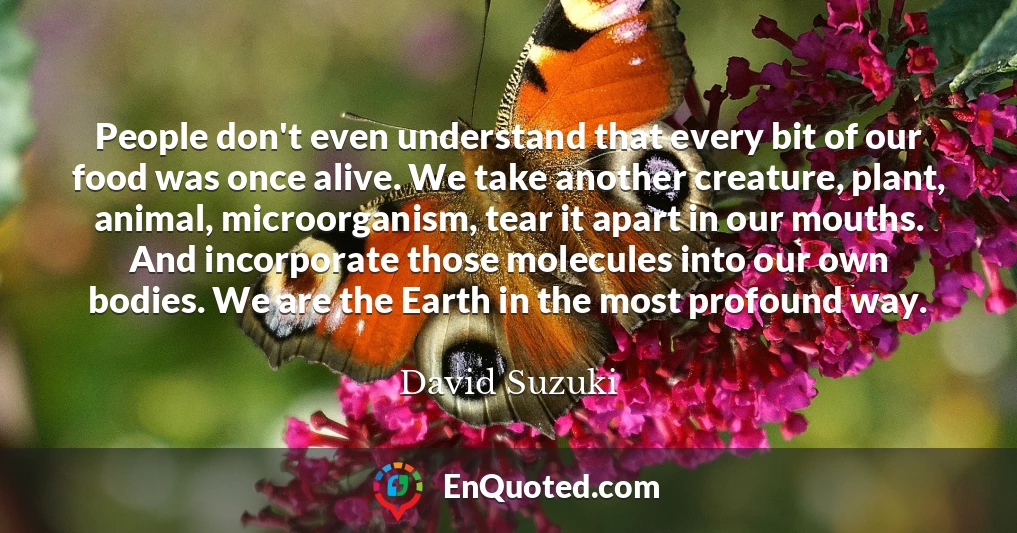 People don't even understand that every bit of our food was once alive. We take another creature, plant, animal, microorganism, tear it apart in our mouths. And incorporate those molecules into our own bodies. We are the Earth in the most profound way.