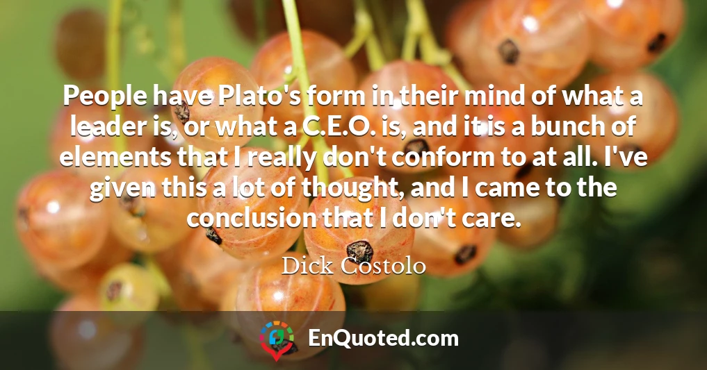 People have Plato's form in their mind of what a leader is, or what a C.E.O. is, and it is a bunch of elements that I really don't conform to at all. I've given this a lot of thought, and I came to the conclusion that I don't care.