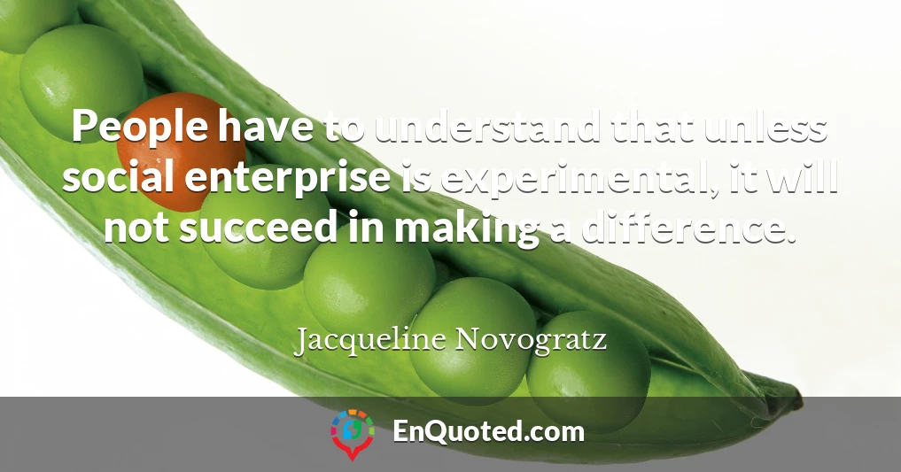 People have to understand that unless social enterprise is experimental, it will not succeed in making a difference.