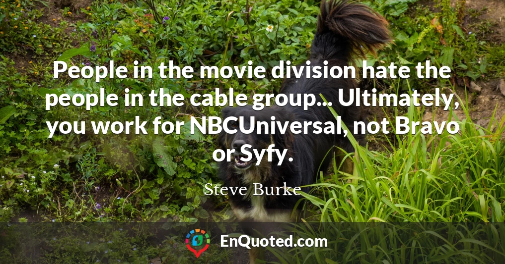 People in the movie division hate the people in the cable group... Ultimately, you work for NBCUniversal, not Bravo or Syfy.