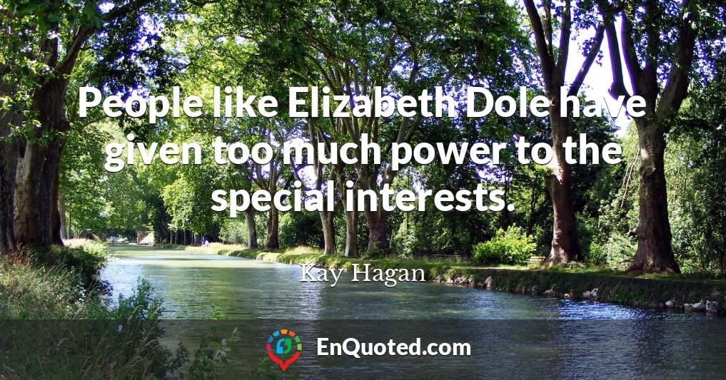 People like Elizabeth Dole have given too much power to the special interests.