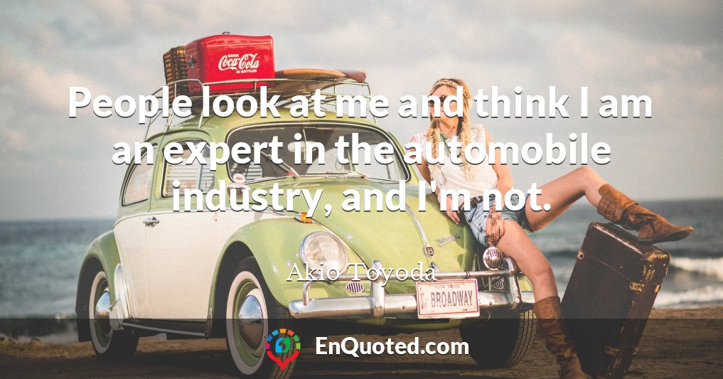 People look at me and think I am an expert in the automobile industry, and I'm not.