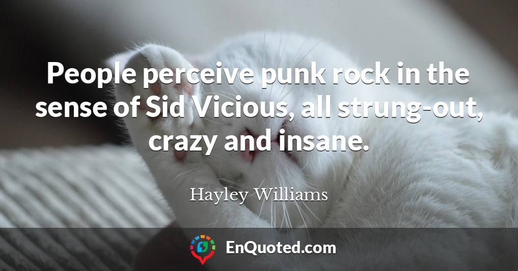 People perceive punk rock in the sense of Sid Vicious, all strung-out, crazy and insane.