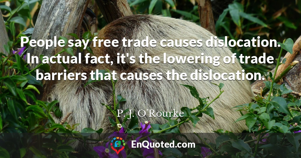 People say free trade causes dislocation. In actual fact, it's the lowering of trade barriers that causes the dislocation.