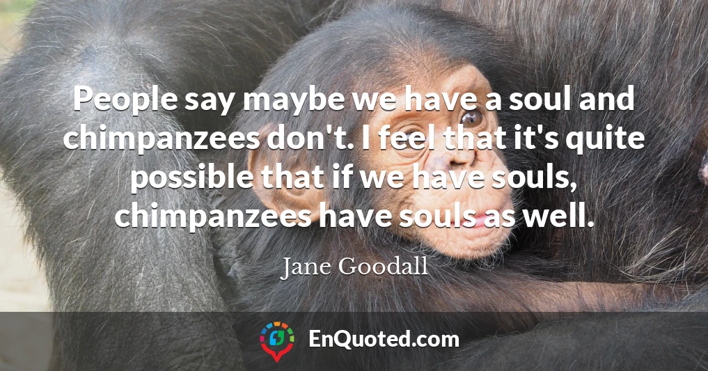 People say maybe we have a soul and chimpanzees don't. I feel that it's quite possible that if we have souls, chimpanzees have souls as well.