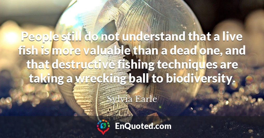 People still do not understand that a live fish is more valuable than a dead one, and that destructive fishing techniques are taking a wrecking ball to biodiversity.