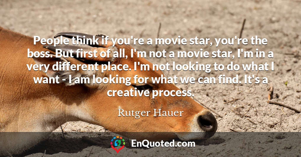 People think if you're a movie star, you're the boss. But first of all, I'm not a movie star, I'm in a very different place. I'm not looking to do what I want - I am looking for what we can find. It's a creative process.
