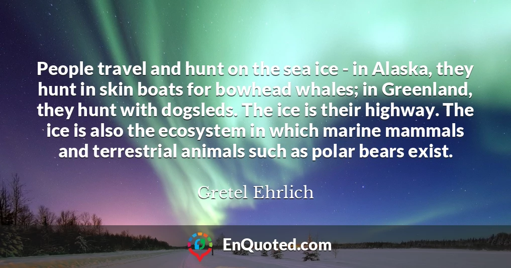 People travel and hunt on the sea ice - in Alaska, they hunt in skin boats for bowhead whales; in Greenland, they hunt with dogsleds. The ice is their highway. The ice is also the ecosystem in which marine mammals and terrestrial animals such as polar bears exist.
