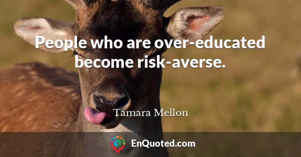 People who are over-educated become risk-averse.