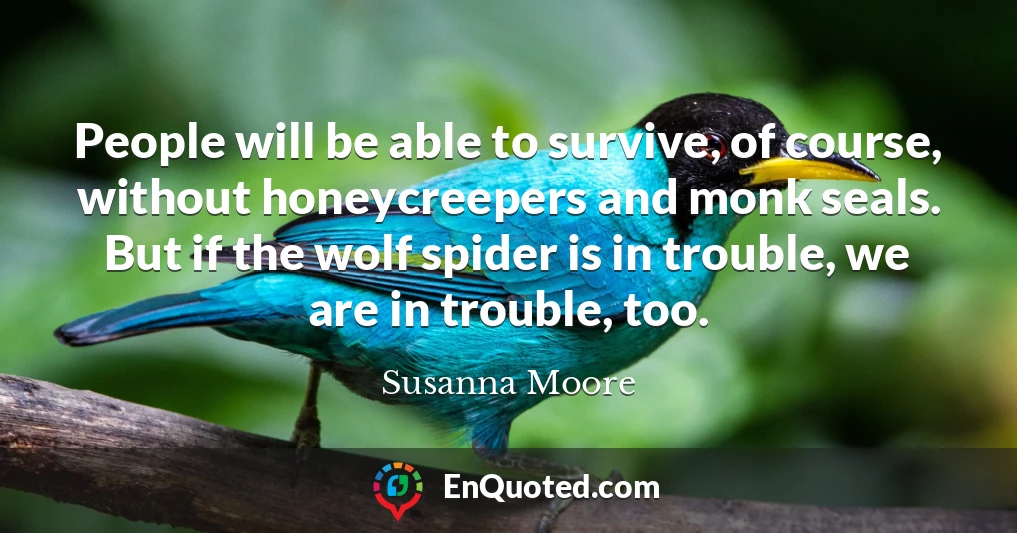 People will be able to survive, of course, without honeycreepers and monk seals. But if the wolf spider is in trouble, we are in trouble, too.