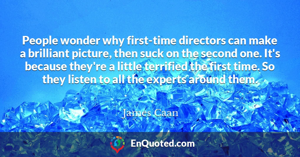 People wonder why first-time directors can make a brilliant picture, then suck on the second one. It's because they're a little terrified the first time. So they listen to all the experts around them.