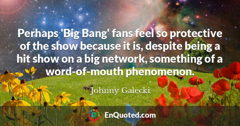 Perhaps 'Big Bang' fans feel so protective of the show because it is, despite being a hit show on a big network, something of a word-of-mouth phenomenon.