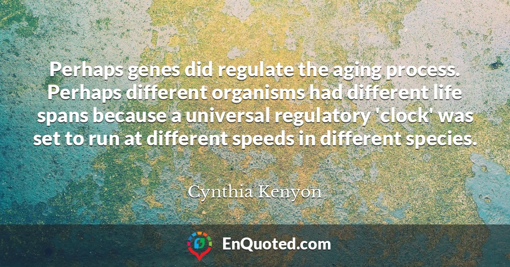 Perhaps genes did regulate the aging process. Perhaps different organisms had different life spans because a universal regulatory 'clock' was set to run at different speeds in different species.