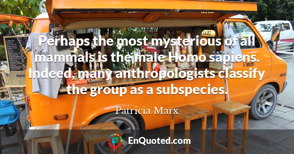Perhaps the most mysterious of all mammals is the male Homo sapiens. Indeed, many anthropologists classify the group as a subspecies.