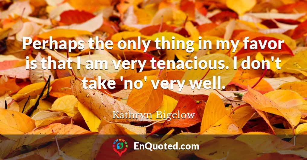 Perhaps the only thing in my favor is that I am very tenacious. I don't take 'no' very well.