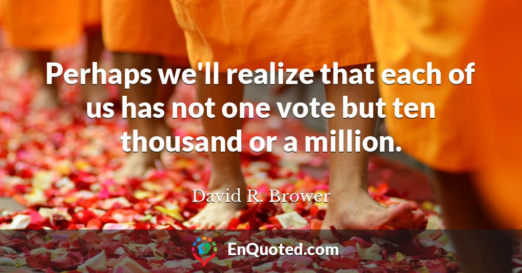 Perhaps we'll realize that each of us has not one vote but ten thousand or a million.
