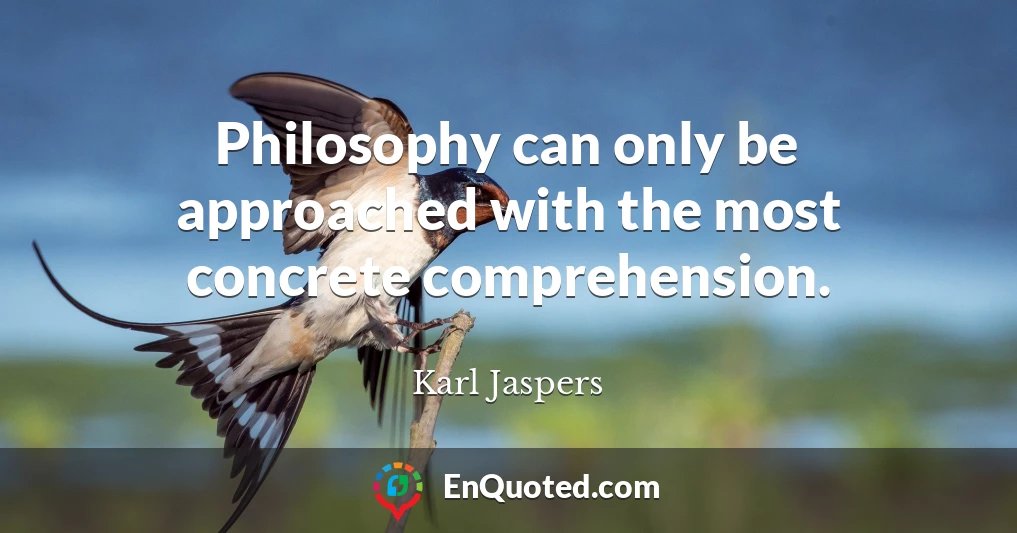 Philosophy can only be approached with the most concrete comprehension.