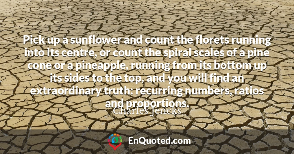 Pick up a sunflower and count the florets running into its centre, or count the spiral scales of a pine cone or a pineapple, running from its bottom up its sides to the top, and you will find an extraordinary truth: recurring numbers, ratios and proportions.