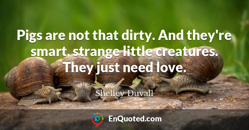 Pigs are not that dirty. And they're smart, strange little creatures. They just need love.