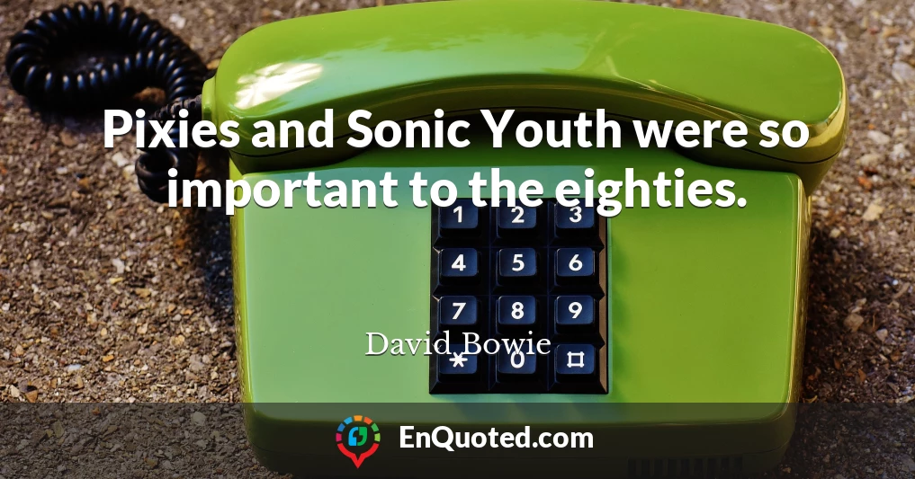 Pixies and Sonic Youth were so important to the eighties.
