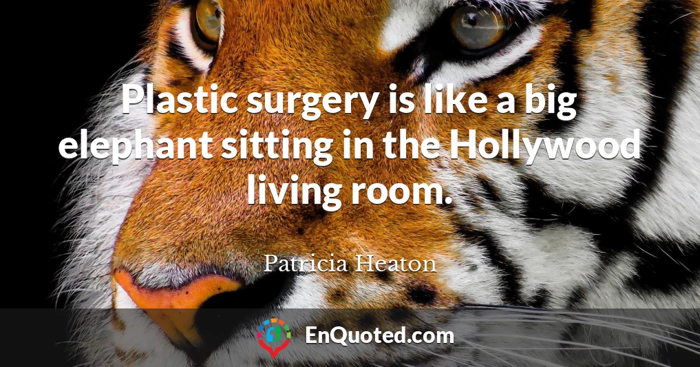 Plastic surgery is like a big elephant sitting in the Hollywood living room.
