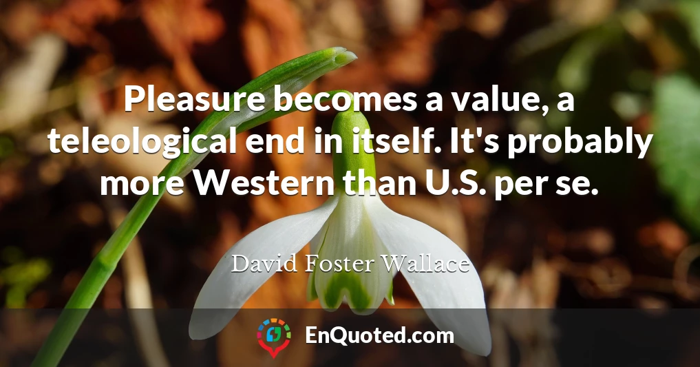 Pleasure becomes a value, a teleological end in itself. It's probably more Western than U.S. per se.