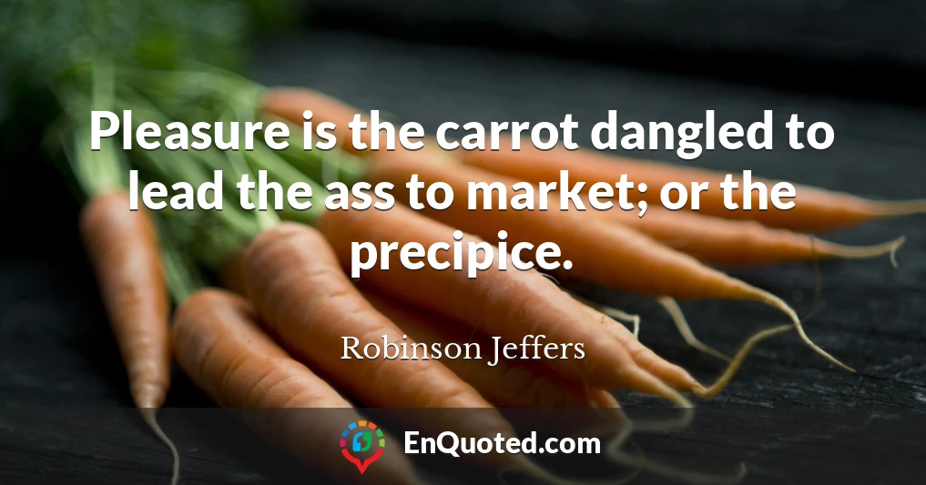 Pleasure is the carrot dangled to lead the ass to market; or the precipice.