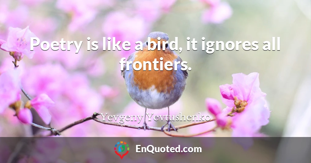 Poetry is like a bird, it ignores all frontiers.