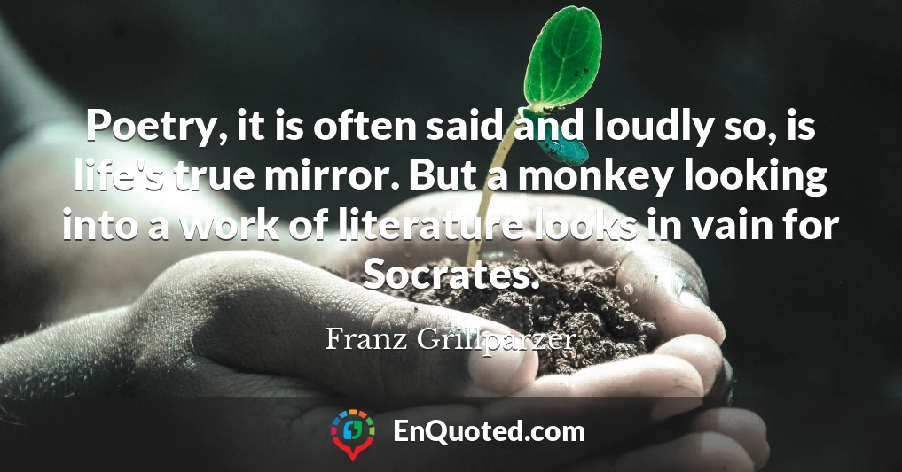 Poetry, it is often said and loudly so, is life's true mirror. But a monkey looking into a work of literature looks in vain for Socrates.