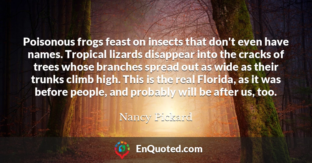 Poisonous frogs feast on insects that don't even have names. Tropical lizards disappear into the cracks of trees whose branches spread out as wide as their trunks climb high. This is the real Florida, as it was before people, and probably will be after us, too.