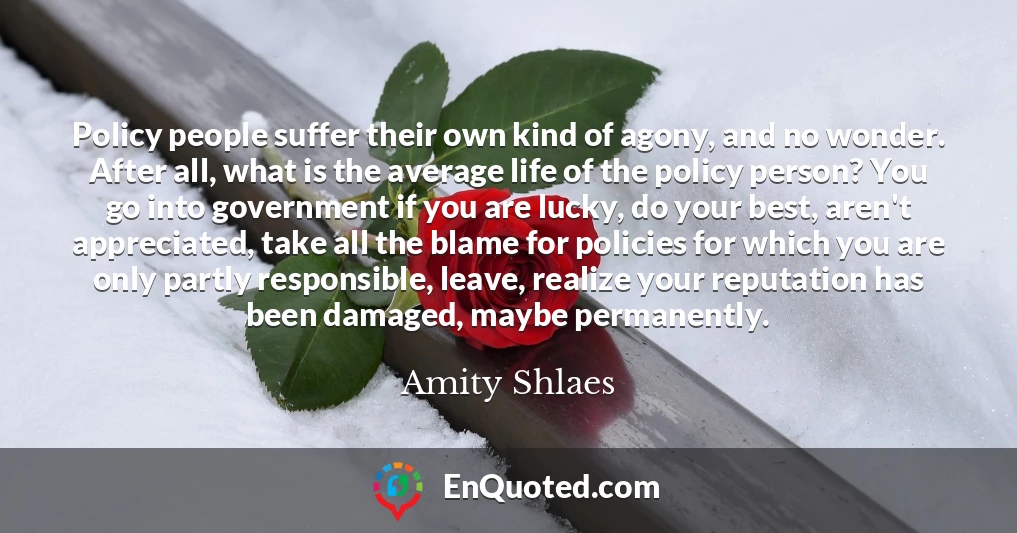 Policy people suffer their own kind of agony, and no wonder. After all, what is the average life of the policy person? You go into government if you are lucky, do your best, aren't appreciated, take all the blame for policies for which you are only partly responsible, leave, realize your reputation has been damaged, maybe permanently.