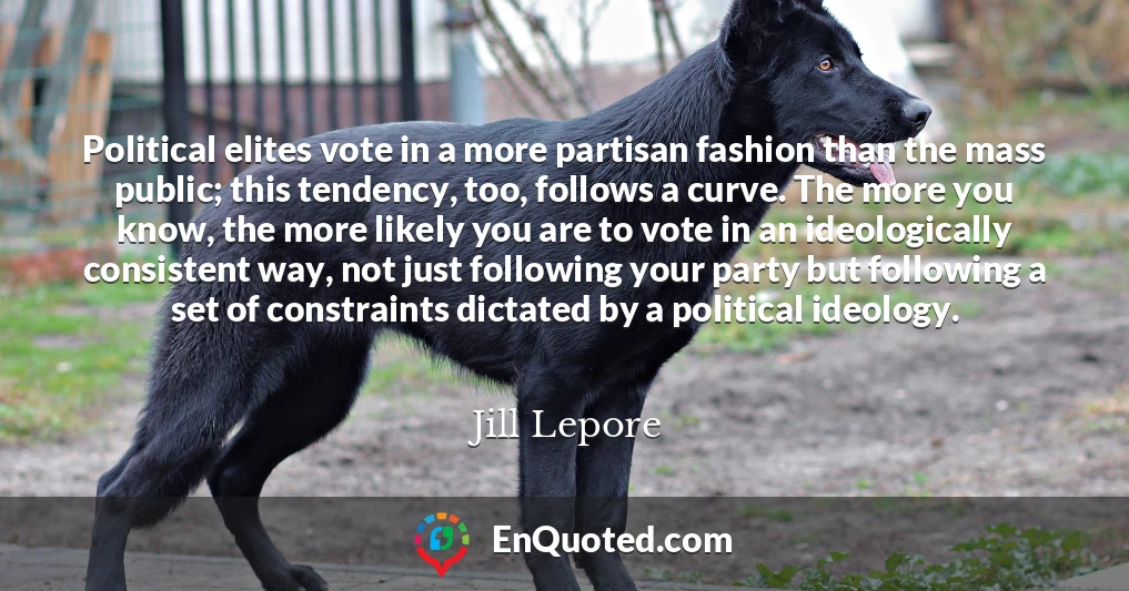 Political elites vote in a more partisan fashion than the mass public; this tendency, too, follows a curve. The more you know, the more likely you are to vote in an ideologically consistent way, not just following your party but following a set of constraints dictated by a political ideology.
