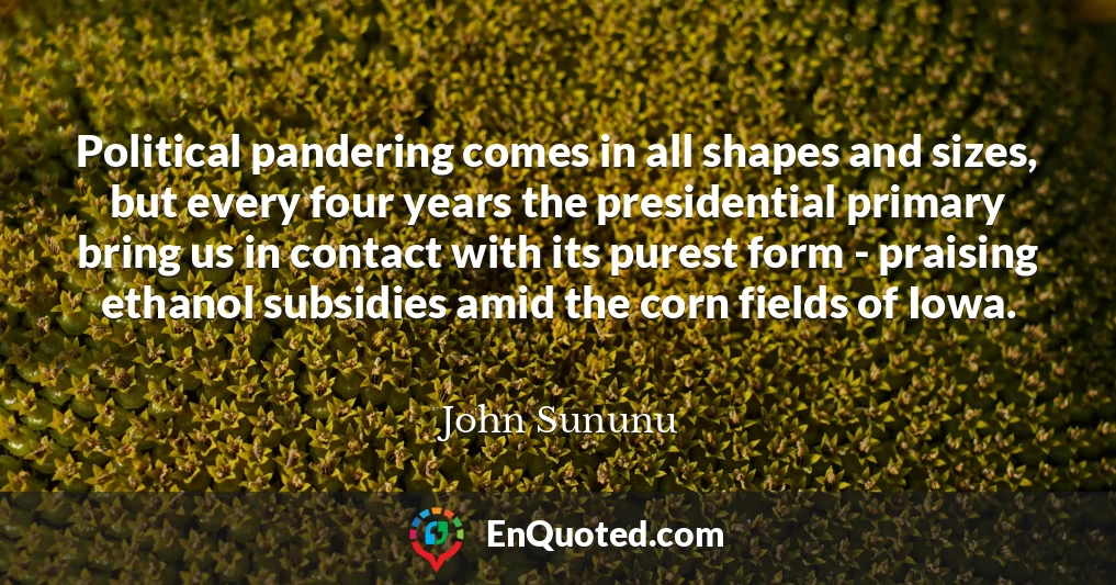 Political pandering comes in all shapes and sizes, but every four years the presidential primary bring us in contact with its purest form - praising ethanol subsidies amid the corn fields of Iowa.