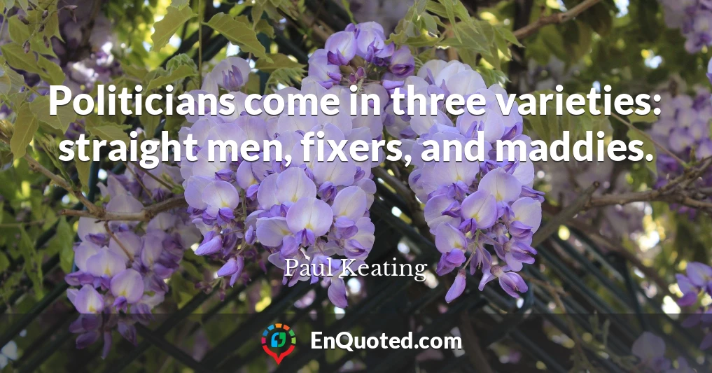 Politicians come in three varieties: straight men, fixers, and maddies.