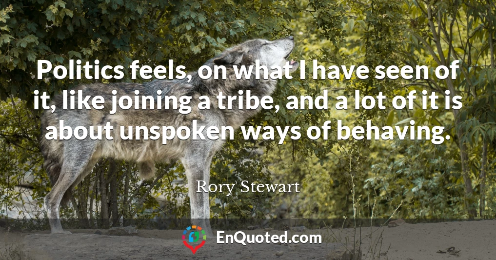 Politics feels, on what I have seen of it, like joining a tribe, and a lot of it is about unspoken ways of behaving.