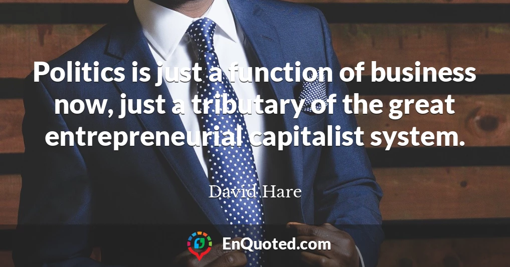 Politics is just a function of business now, just a tributary of the great entrepreneurial capitalist system.