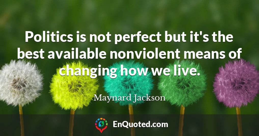 Politics is not perfect but it's the best available nonviolent means of changing how we live.