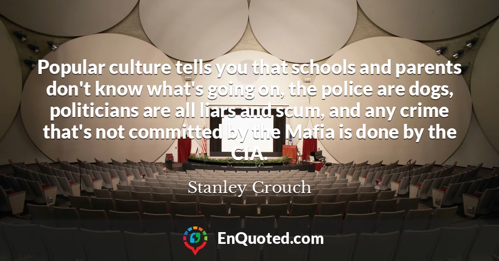 Popular culture tells you that schools and parents don't know what's going on, the police are dogs, politicians are all liars and scum, and any crime that's not committed by the Mafia is done by the CIA.
