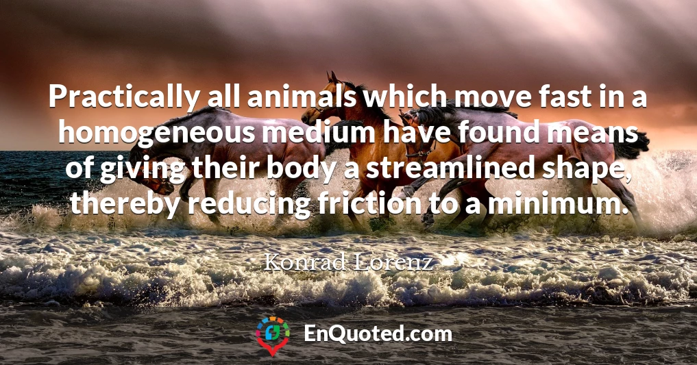 Practically all animals which move fast in a homogeneous medium have found means of giving their body a streamlined shape, thereby reducing friction to a minimum.