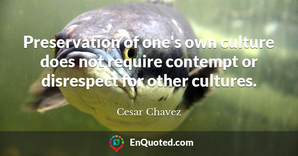 Preservation of one's own culture does not require contempt or disrespect for other cultures.