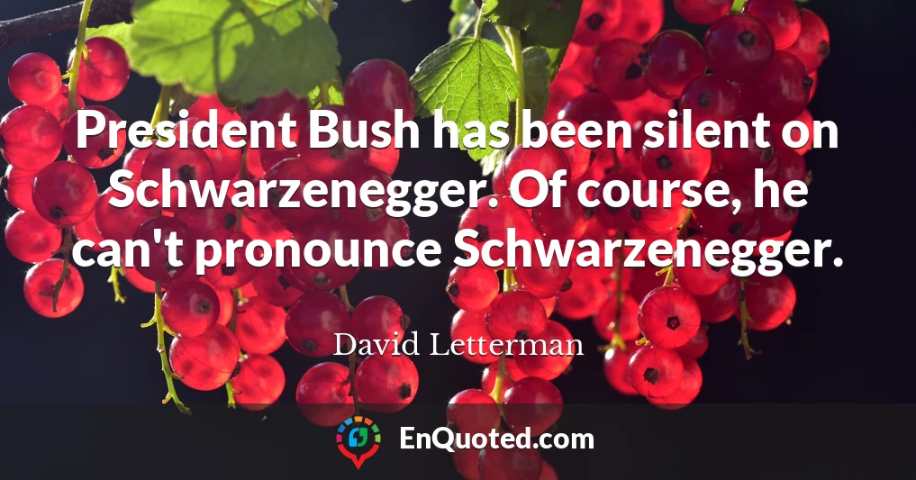 President Bush has been silent on Schwarzenegger. Of course, he can't pronounce Schwarzenegger.