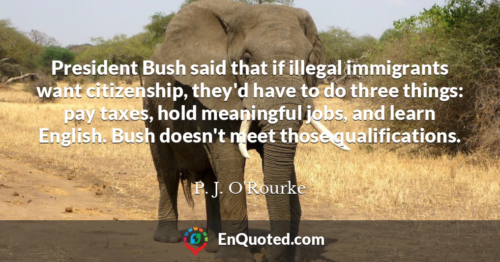President Bush said that if illegal immigrants want citizenship, they'd have to do three things: pay taxes, hold meaningful jobs, and learn English. Bush doesn't meet those qualifications.