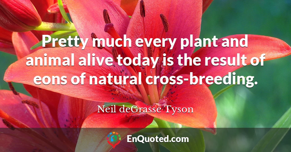 Pretty much every plant and animal alive today is the result of eons of natural cross-breeding.