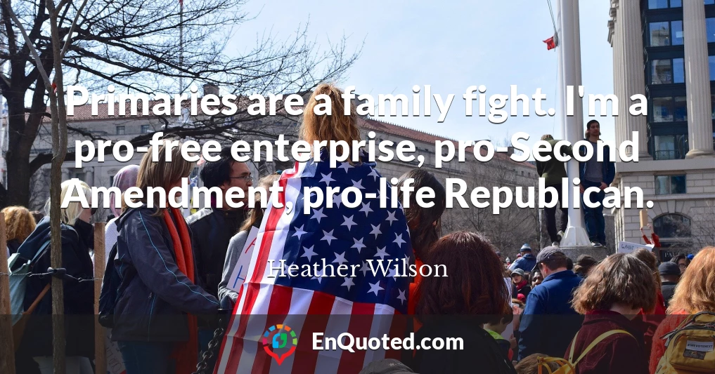 Primaries are a family fight. I'm a pro-free enterprise, pro-Second Amendment, pro-life Republican.