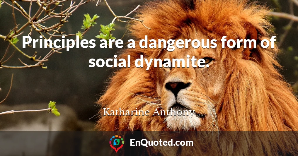 Principles are a dangerous form of social dynamite.