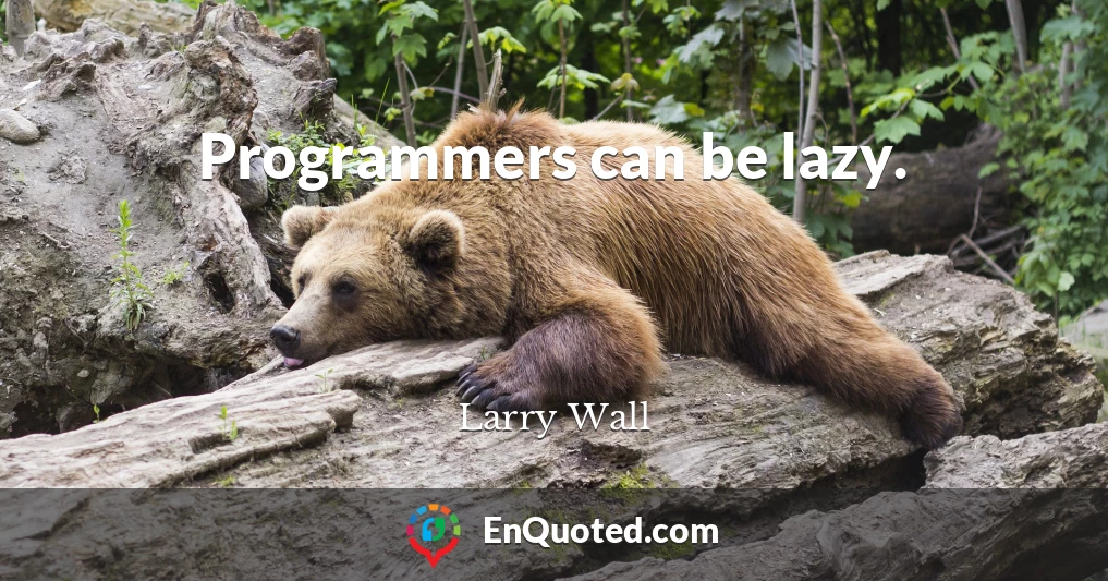 Programmers can be lazy.