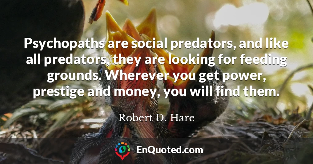 Psychopaths are social predators, and like all predators, they are looking for feeding grounds. Wherever you get power, prestige and money, you will find them.