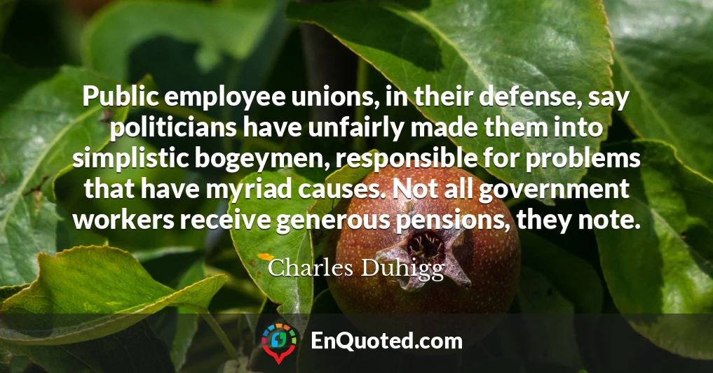 Public employee unions, in their defense, say politicians have unfairly made them into simplistic bogeymen, responsible for problems that have myriad causes. Not all government workers receive generous pensions, they note.